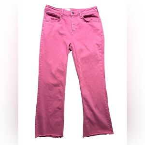 Pilcro x Anthropologie Crop Flare Jeans 31 Tall